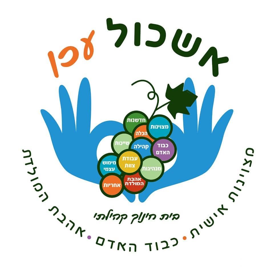 לוגו בית ספר אשכול סכנין