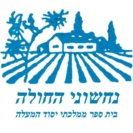 לוגו בית ספר נחשוני החולה